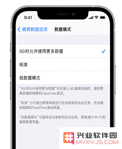 如何在iPhone 13中有效管理5G连接下的数据使用量以节省流量和费用？