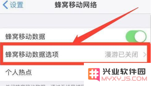 iPhone 13如何关闭5G网络？iPhone 13恒定4G设置方法