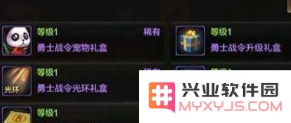 DNF手游勇士战令的详细介绍与获取方式解析