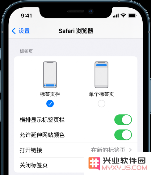 iOS 15 使用技巧：在 Safari 浏览器中使用标签页