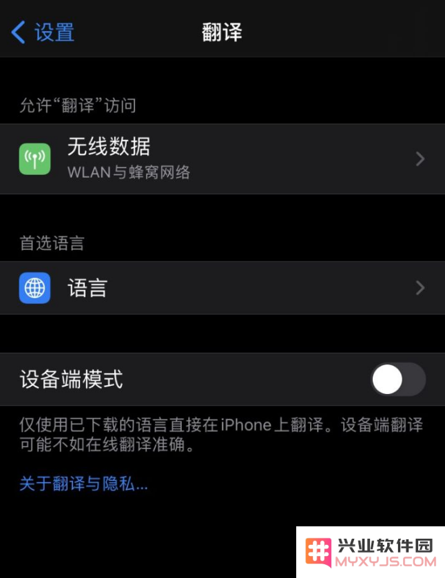 当 iPhone 自带的“翻译”应用出现故障无法正常使用时该如何解决问题？