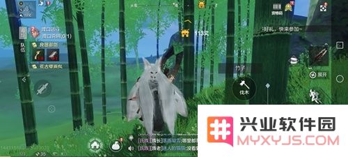 妄想山海游戏中如何找到竹子的位置以及相关技巧介绍