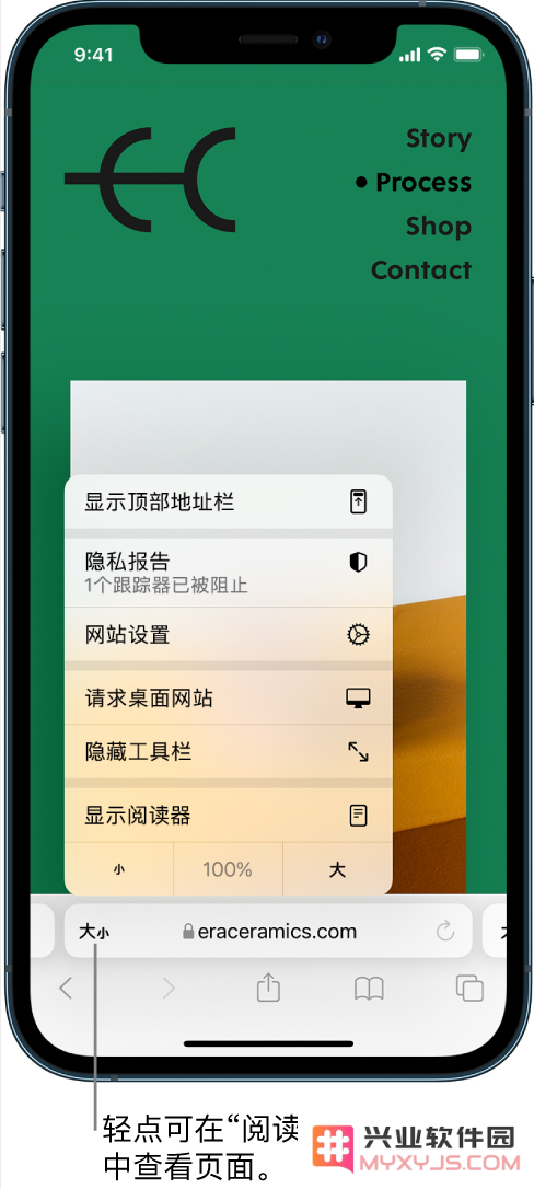 iPhone Safari 浏览器实用技巧：如何有效隐藏网页上的广告与其他干扰信息