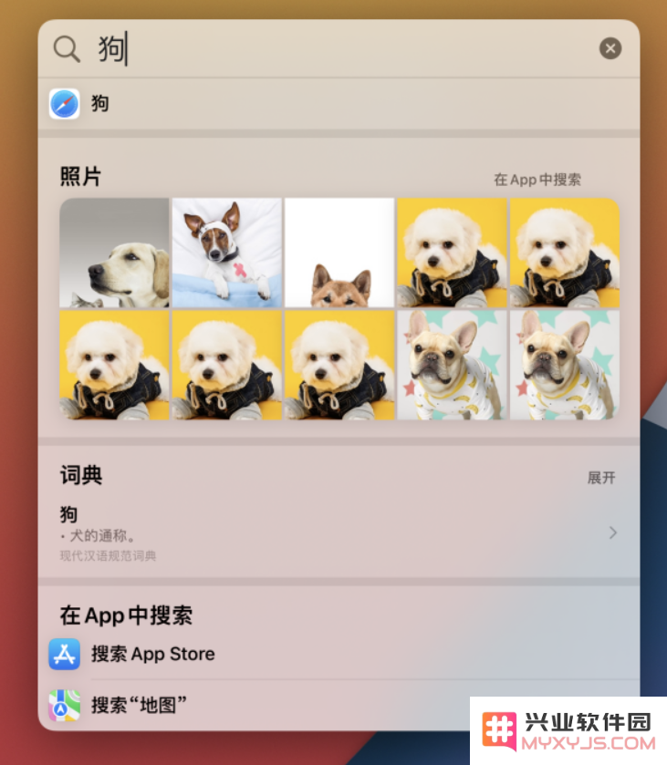 iOS 15 聚焦搜索功能有哪些改进？