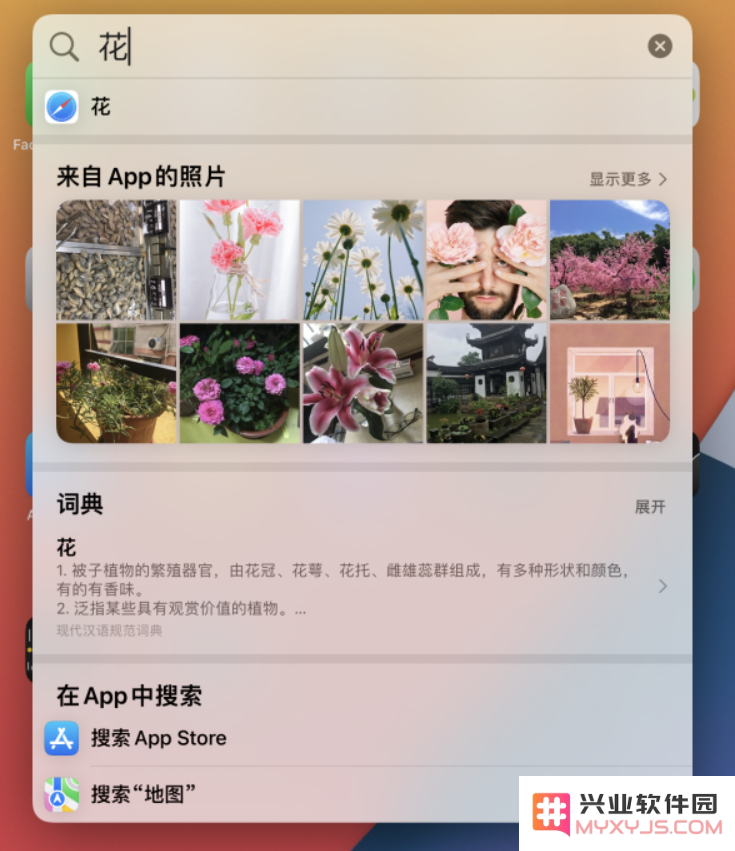 小技巧：在iOS 15中，聚焦功能全新升级，支持直接搜索图片和图像内容