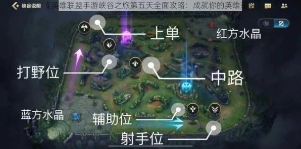 ｜独家｜深度解析｜v0425｜英雄联盟手游野区打野路线全攻略与技巧分享