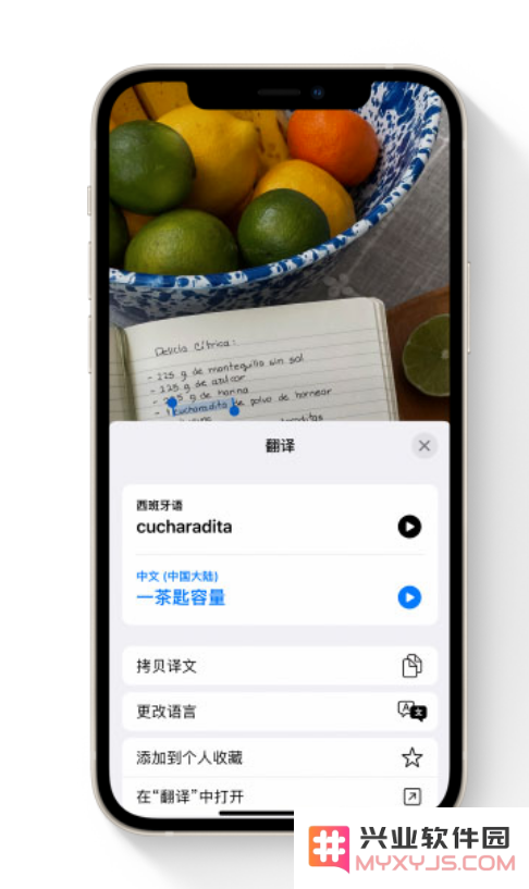 iOS 15 中的“实况文本”功能支持哪些设备？如何使用？