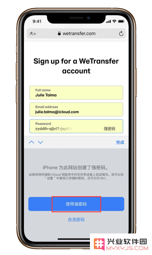 什么是“强密码”？如何在 iPhone 设备上生成和自动填充安全密码的详细指南