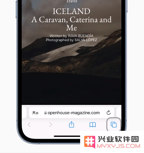 iOS 15 使用技巧：在 Safari 浏览器上使用全新标签页