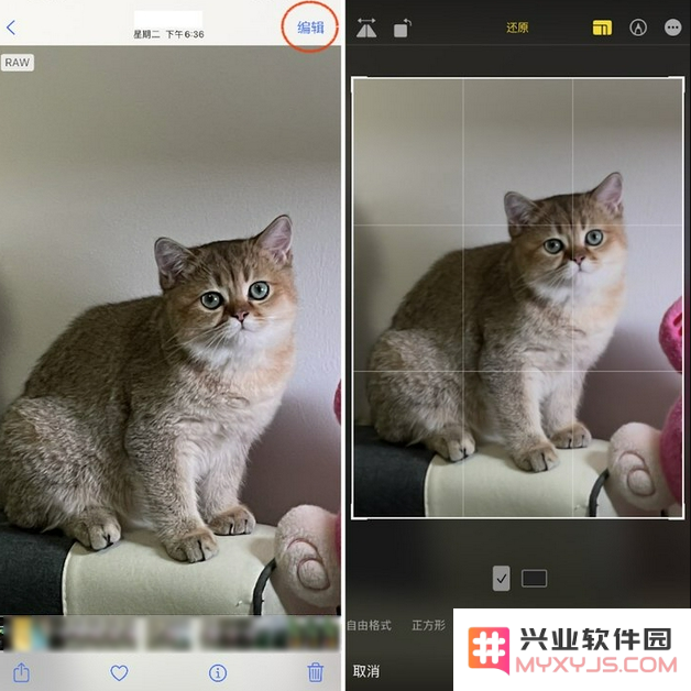 如何解决苹果 iPhone 12 Pro 拍照时出现的过度锐化问题，以获得更自然的照片效果？