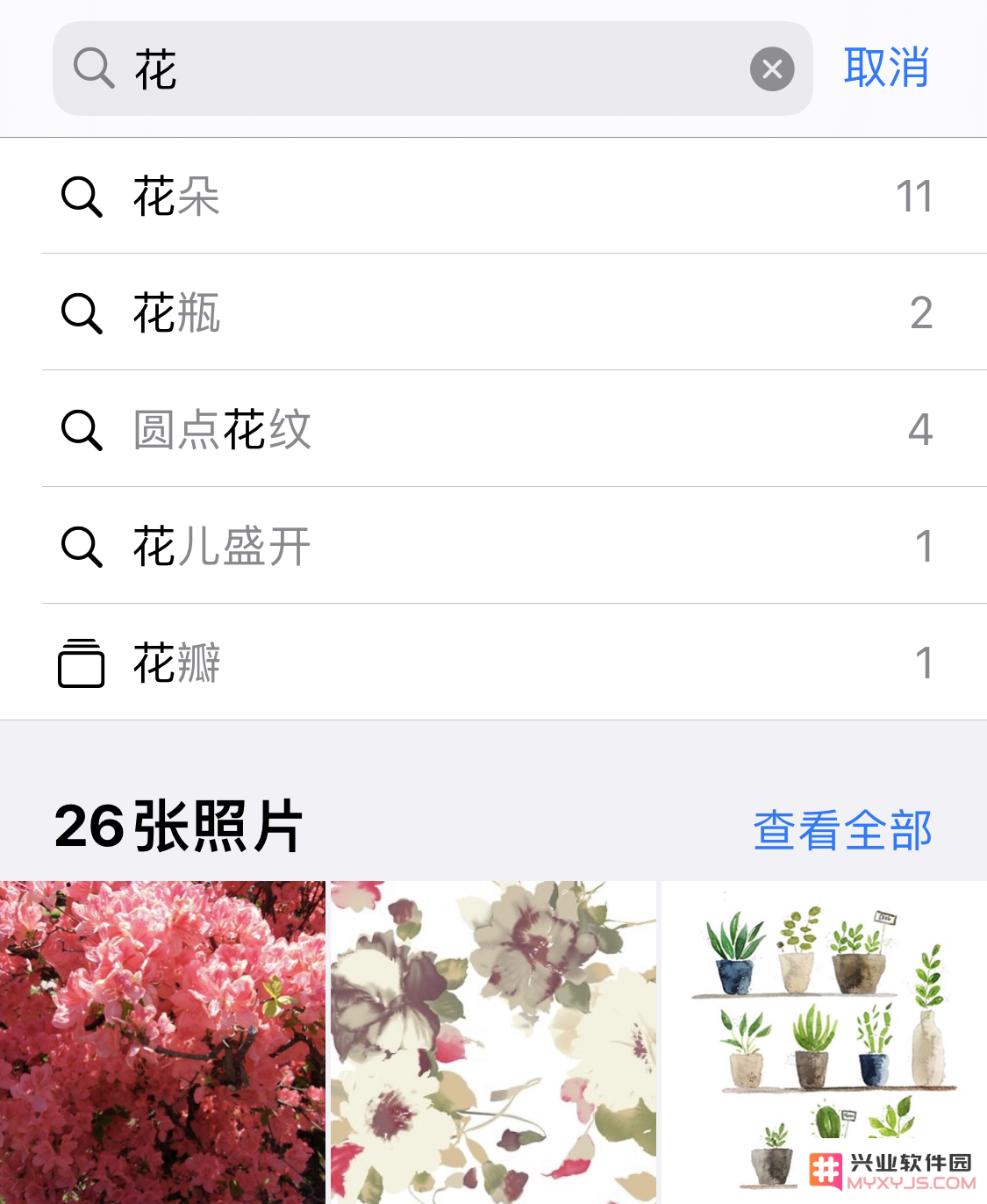 iPhone 小技巧：有效管理和整理相册