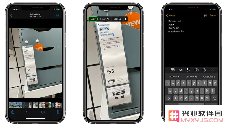 iOS 15 小技巧：从照片中复制和粘贴文本