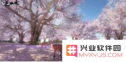 逆水寒神秘乞丐奇遇任务如何触发及详细攻略解析