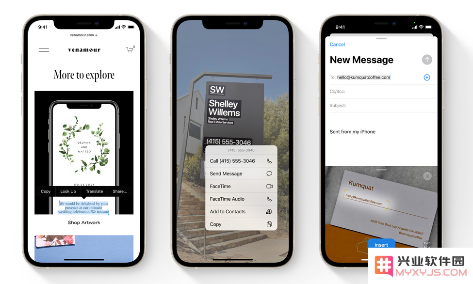 iOS 15 的强大新功能：识别照片内的文字与获取更多相关信息的方法