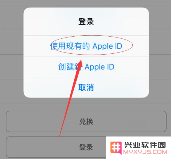 是否能够在两台iPhone设备上同时使用同一个Apple ID进行登录？