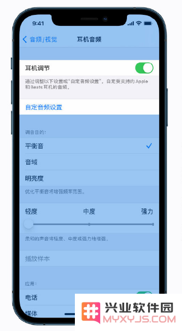 iPhone 12 小技巧：调整音频和视觉设置