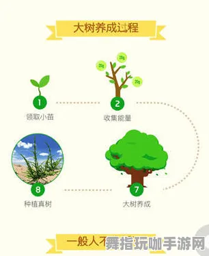 ·全新指南｜蚂蚁森林高效成长攻略 星推｜2025年更新版技巧分享