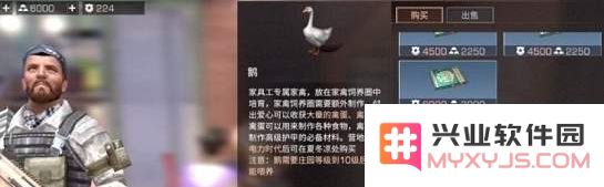 明日之后中如何获取鹅以及获取鹅的详细方法和技巧分享