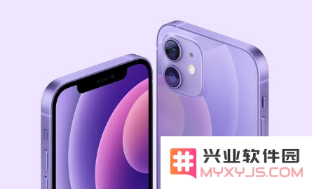 紫色版iPhone 12有什么技术亮点？