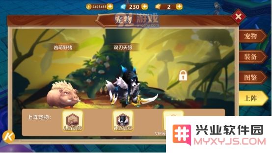 深入探索地牢破坏神的宠物系统玩法及其技巧分享
