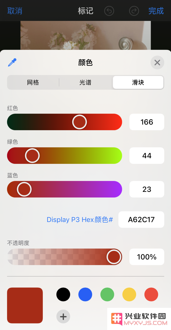 iPhone 12 如何在照片上涂鸦？