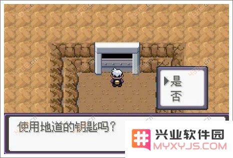 口袋妖怪漆黑的魅影