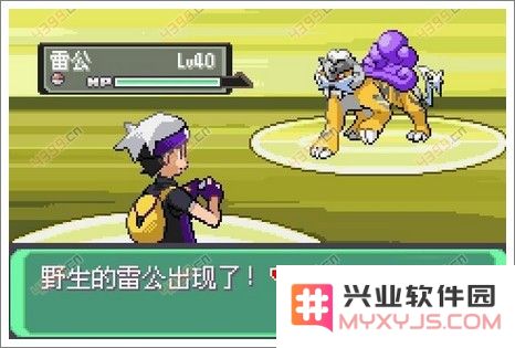 口袋妖怪漆黑的魅影