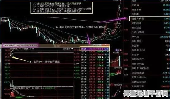 最新分析｜登录福利揭秘｜NFT市场动态：48天内价值增长全面剖析