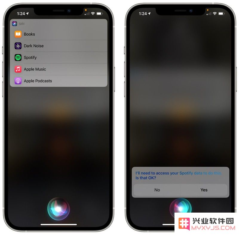 在 iOS 14.5 中用 Siri 轻松切换您选择的音乐应用程序的方法