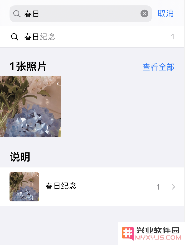 iOS 14 小技巧：为重要照片添加说明