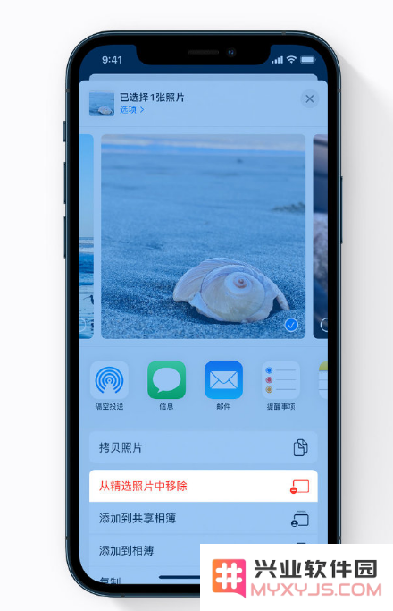 iPhone 12 小技巧：避免让隐私照片显示在照片小组件中