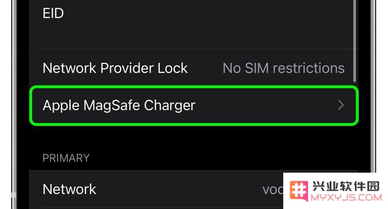 如何检查苹果 MagSafe 充电器的固件版本？