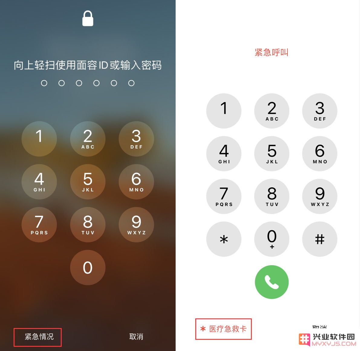 如何在 iPhone 12 上设置和查看医疗急救卡及紧急联系人？