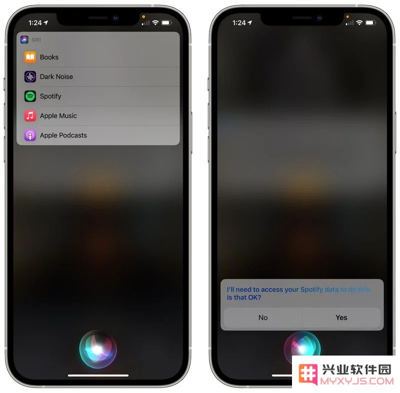 iOS 14.5 版本更新：如何设置自定义默认音乐播放器应用