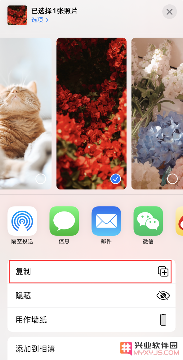 如何在使用 iPhone 12 编辑照片时保留原图的完整性和质量？