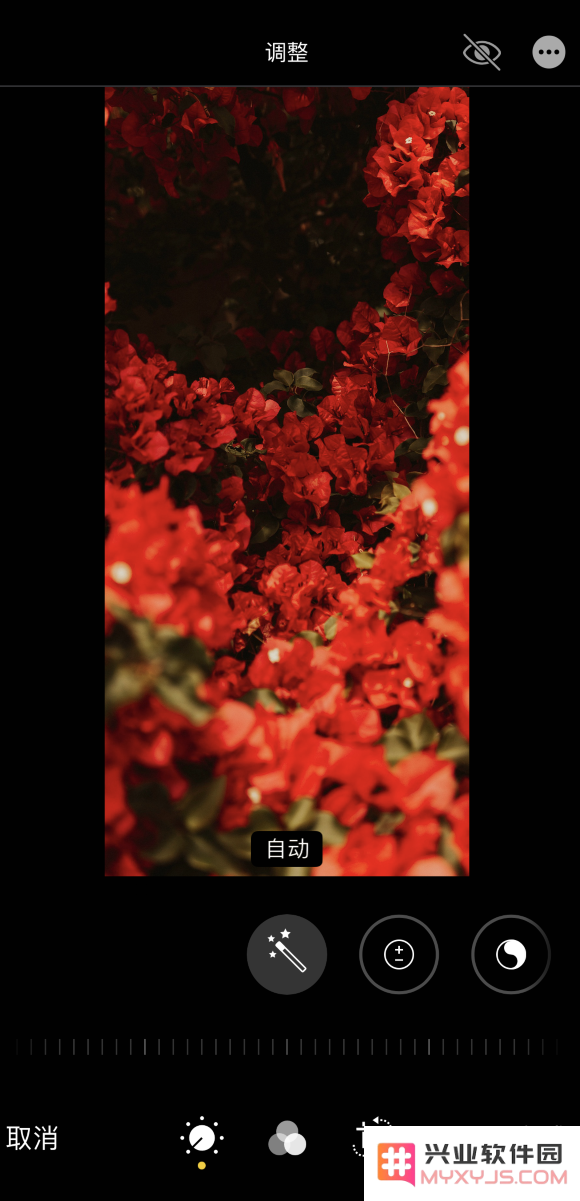 iPhone 12 如何在同时保留原图的情况下编辑照片？