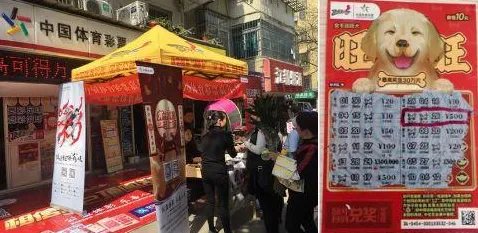 ▶独家｜套路 最新攻略：1 正在｜周年庆｜攻略