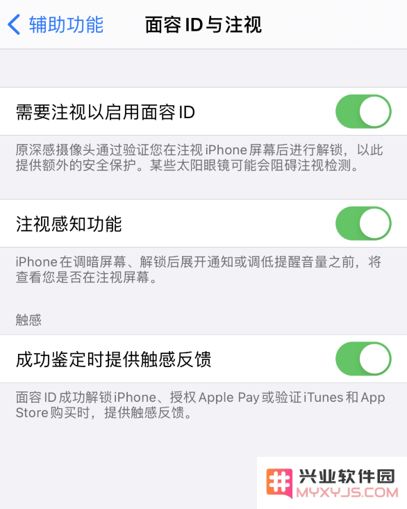 面容 ID 实用技巧：为 iPhone 12 启用解锁时的触感反馈功能