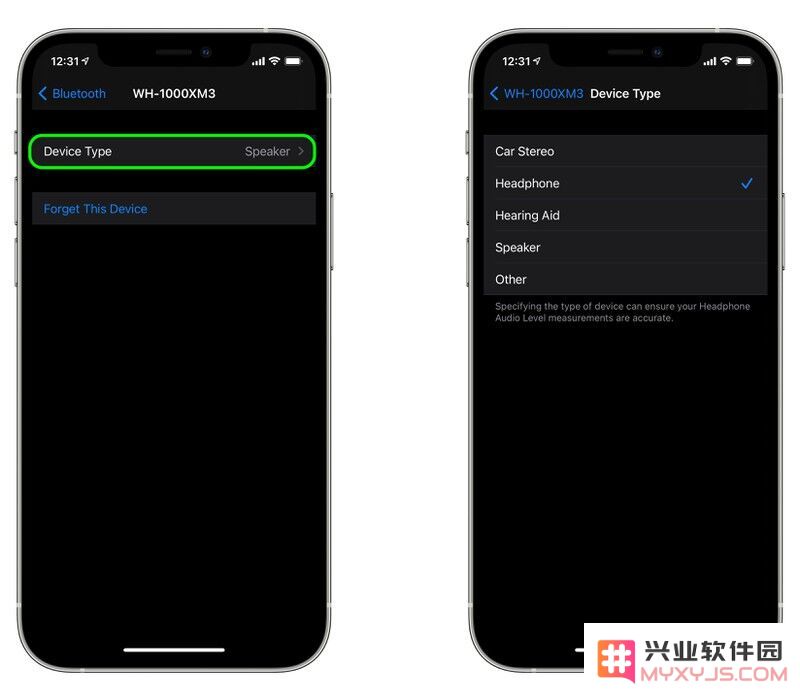 iOS 14.4 新功能：按设备类型在 iPhone 上标注蓝牙配件