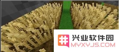 《生存战争》黑麦的获取技巧全解析  黑麦的外观特征及辨别方法