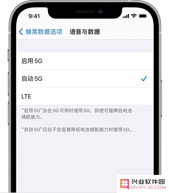 如何在 iPhone 12 上开启和切换 5G 网络的连接模式？