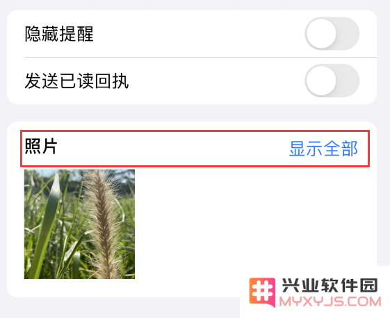 iPhone 小技巧：储存信息中收到的照片或文件