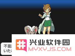 口袋妖怪黑白2全方位图文攻略详细解析与攻略技巧总结