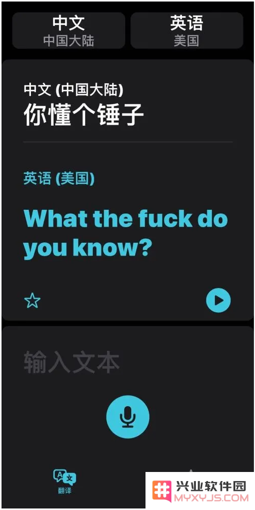 iOS14的“翻译太懂了”怎么用？