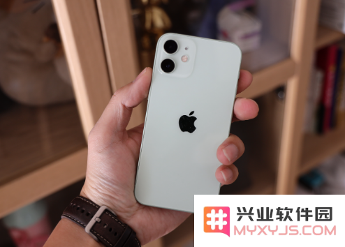 在小米11与iPhone 12 mini之间，如何选择最适合你的手机？