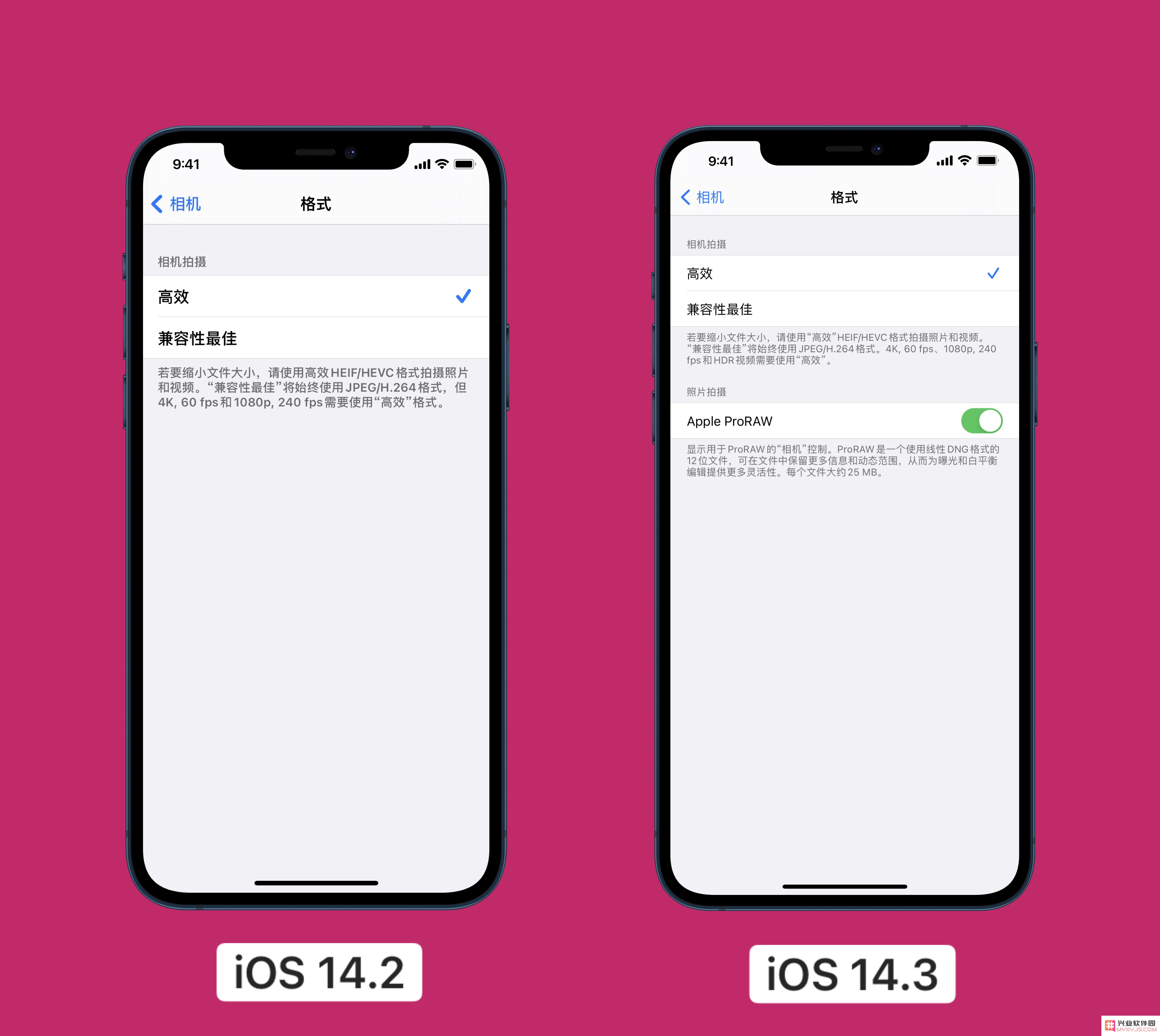 如何在运行 iOS 14.3正式版的iPhone 12上拍摄 ProRAW 格式照片？