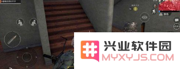 《绝地求生刺激战场》中玫瑰花的功能解析及获取方式全面介绍