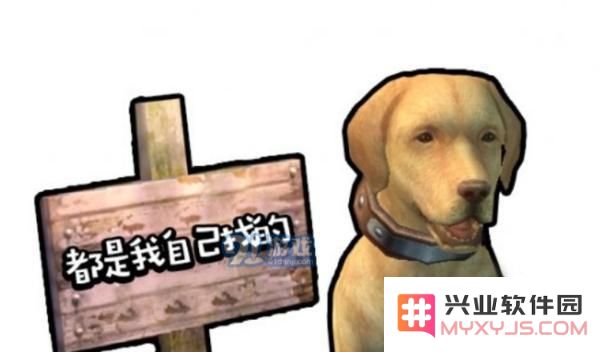 明日之后狗狗的性格变化有多少种？详解13种狗狗性格分类和特点