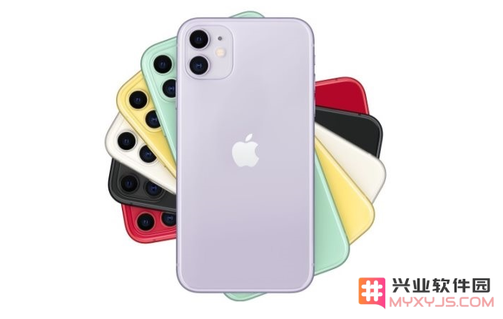 如何处理iPhone 11停止响应触摸屏幕的问题和解决方法