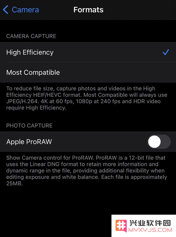 如何为 iPhone 12 Pro/Max 启用 ProRAW 照片格式？